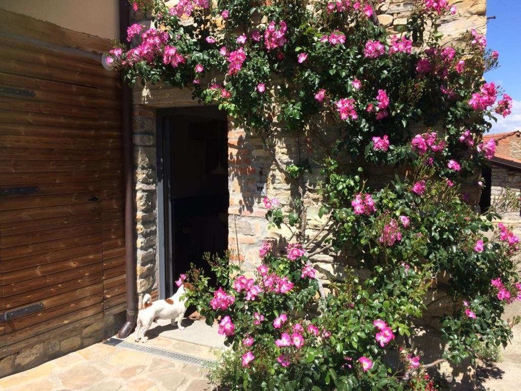 Nido D'Amore Nei Colori Dernice المظهر الخارجي الصورة